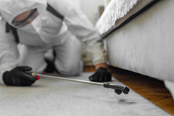 Professional Termite Control technician working in Swifton, AR